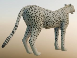 3D/Cheetah_3dmodel_Rear3qoffangle.jpg 3D/Cheetah_3dmodel_Rear3qoffangle.jpg